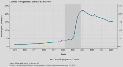 Reprogrammed Loans