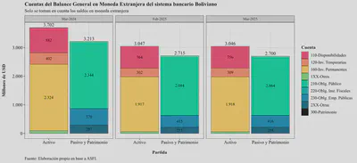 FX Balances