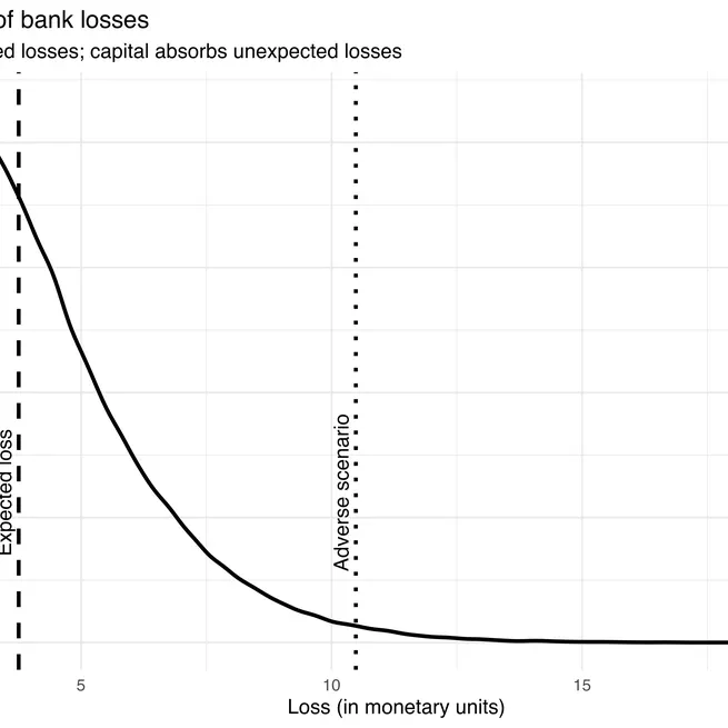 Are Bolivian Banks Solvent? An Introduction to the Problem of Capital Adequacy